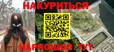 шишки Можга