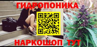индика Моздок