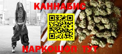 индика Моздок