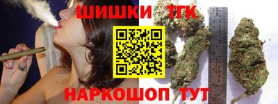 индика Моздок