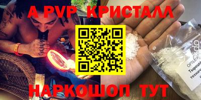 индика Моздок
