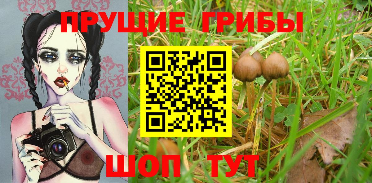 Дюртюли  Псилоцибиновые грибы GOLDEN TEACHER  Вход с VPN 