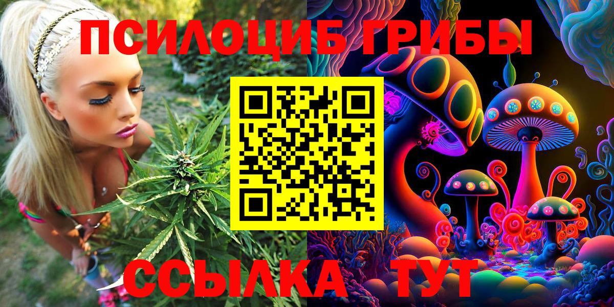 Псилоцибиновые грибы Cubensis Дюртюли